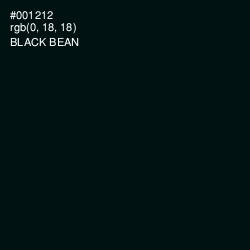 #001212 - Black Bean Color Image